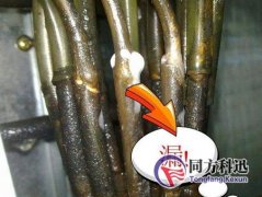 制冷劑泄漏有哪些檢測(cè)方法？